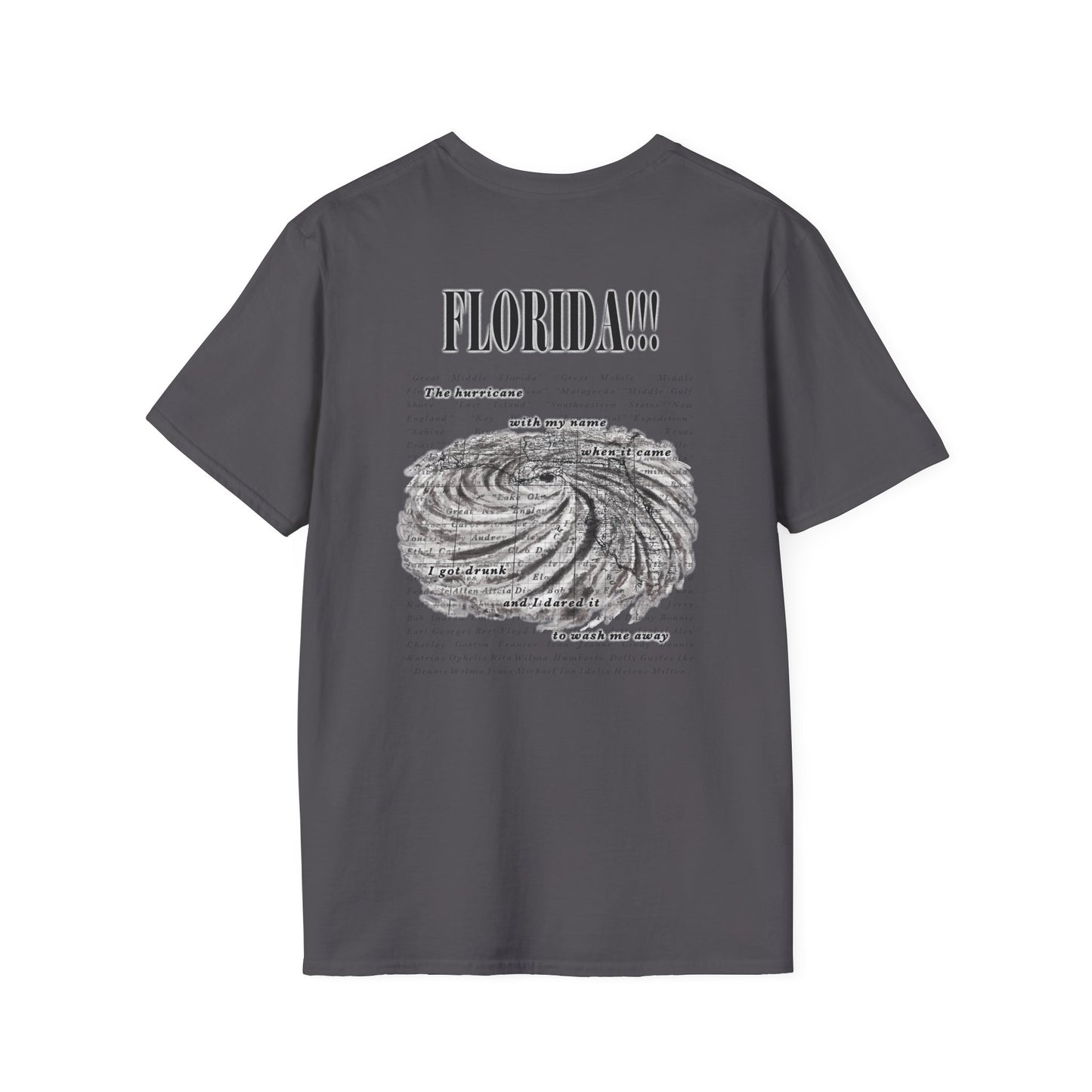 Florida!!! Hurricane Swiftie T-Shirt